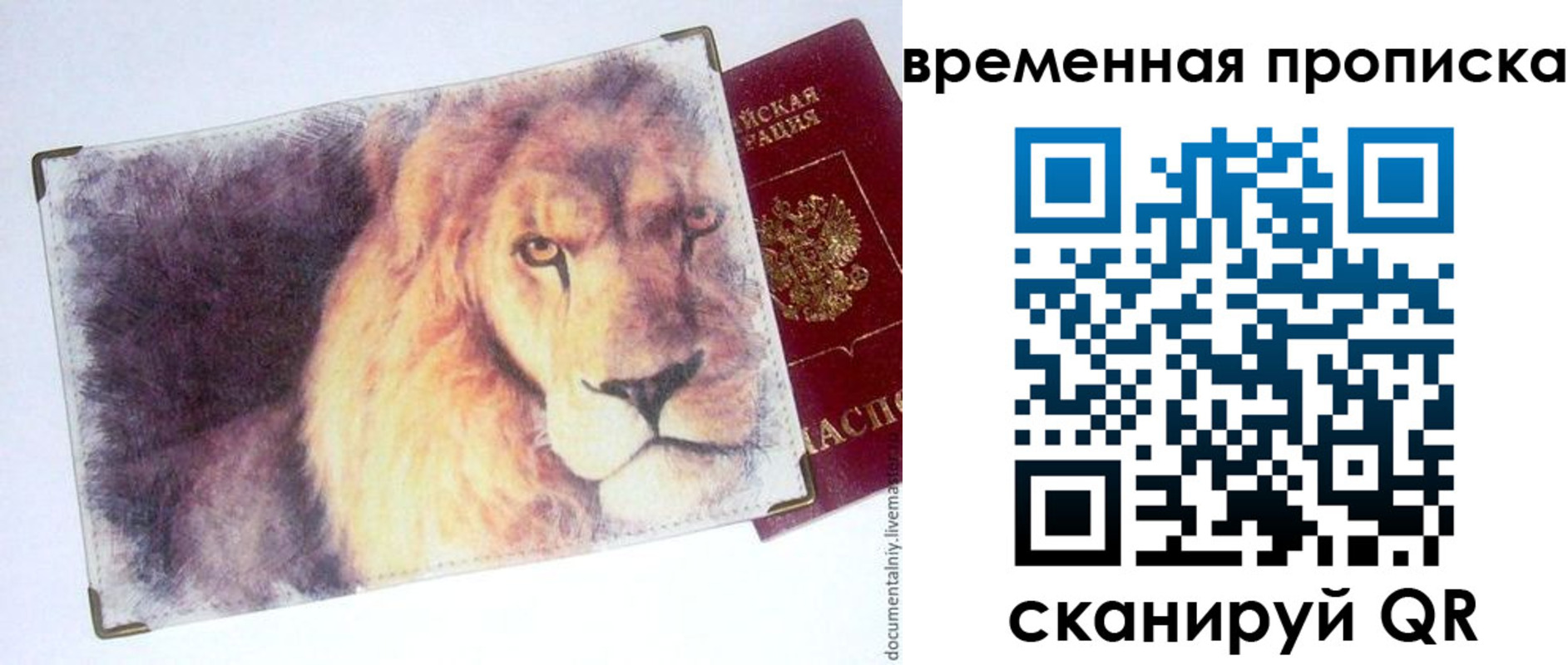 временная регистрация для школы в Георгиевске